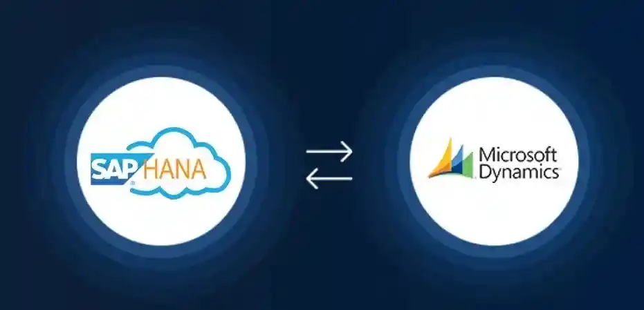 HanaSAPtoMicrosoftIntegration1
