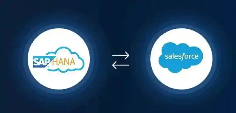 HanaSAPtoSalesforceIntegration-1111
